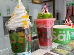 -Salud撒露欧洲冻酸奶(798艺术区店)