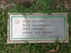 -人民公园(罗湖区)