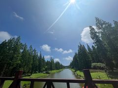 -黄海国家森林公园