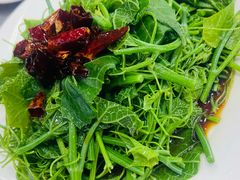 -上庄晋风庄园(上庄店)