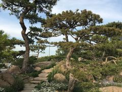 -罗红摄影艺术馆