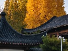 -郑和公园
