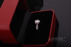 点击看大图 -威德钻石-克拉钻大本营(南京东路店)