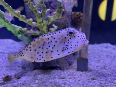 -太平洋海底世界