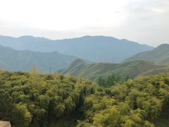 -江南天池