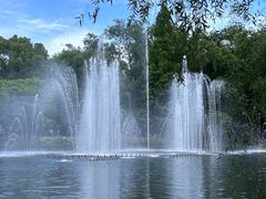 -上海共青森林公园