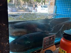 -浔味·山屿湖·正宗淳牌全鱼宴老字号
