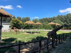 -北京野生动物园