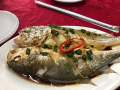 -蛇口康乐快餐鱼仔档(翠苑小区店)