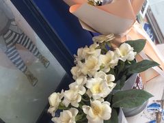 -milkplus·泰式奶茶(较场东路店)