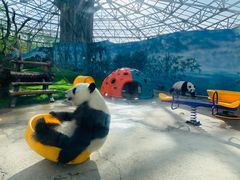 -鄂尔多斯野生动物园