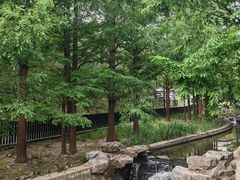 -白水寺森林公园