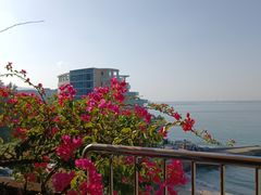 -深圳海边小筑客栈