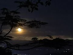-小南山公园