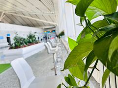 -张家界荷花国际机场
