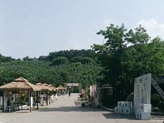 -威海华夏城景区