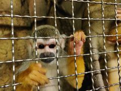 -成都浩海立方海洋公园