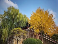 -济南大明湖景区