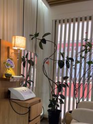 点击看大图 -丝域养发馆