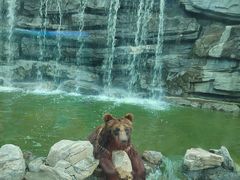 -北京野生动物园