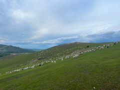 -额尔古纳黑山头绿野马帮骑马场