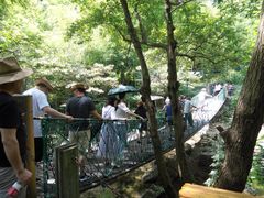 -宁波五龙潭景区