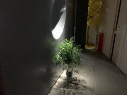 -美壹生皮肤管理中心