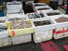 -岳各庄批发市场(西四环中路店)