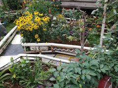 -南京市实验幼儿园