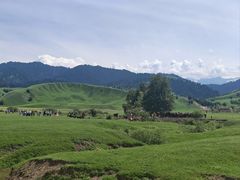 -新疆那拉提国家旅游度假区