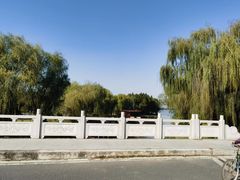 -溱湖国家湿地公园