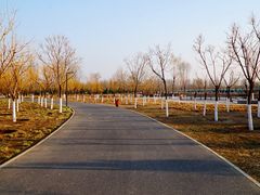 -东郊湿地公园