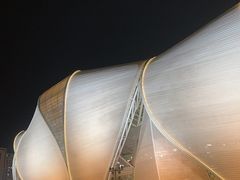 -杭州奥体中心-体育场