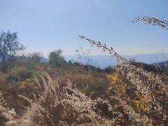 -鬼笑石后山停车场