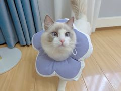 -联合动物医院(光谷诊疗中心)