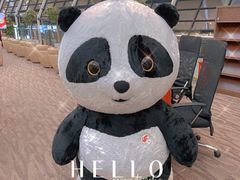 -浦东机场国航头等贵宾室