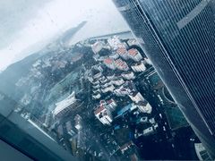 -演武大桥观景平台