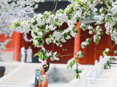 -故宫博物院(故宫)