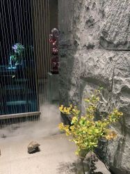 -美壹生皮肤管理中心