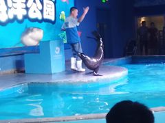 -石家庄海洋公园