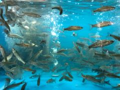 -老村长土菜馆(湖墅南路店)