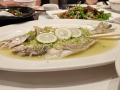 -稻香酒家·35年老字号(侨光店)