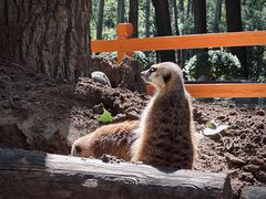 -北京野生动物园