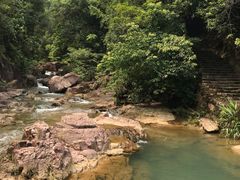 -广州白江湖森林公园