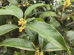 -西安市长乐公园