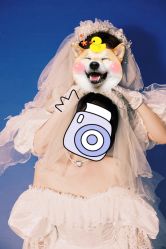 -WAVE SODA摄影工作室