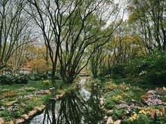 -上海共青森林公园