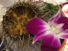 -鲜稻回转寿司(百利城店)