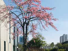 -星巴克(深圳前海企业公馆店)