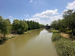 -江滩湿地公园
